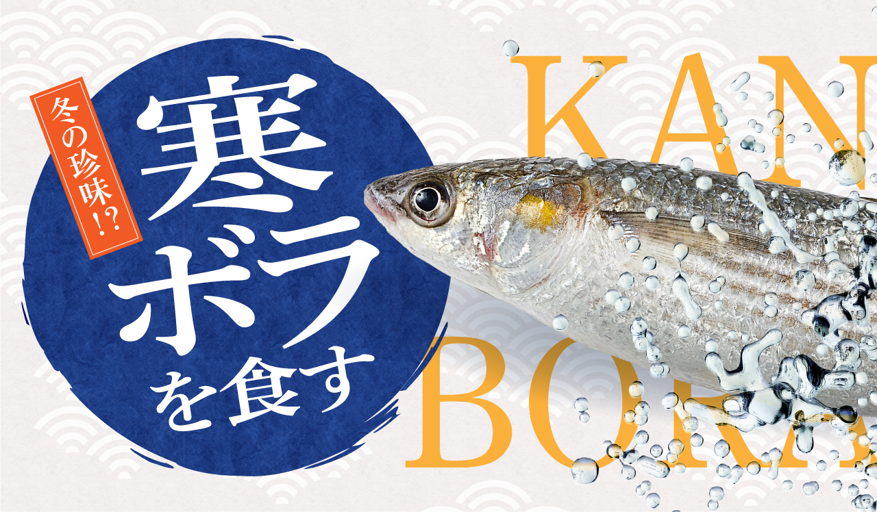 冬の珍味！？寒ボラを食す